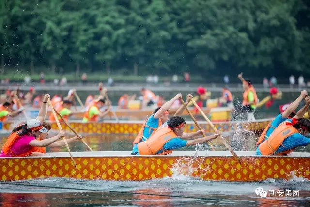 1496794876440391o4Ss.jpg 640.webp (25).jpg